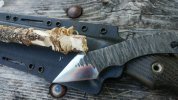 lotsoftinycuts_zpshrtyfep2-396592.JPG
