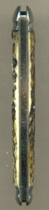 Wester Bros tapered backspring  699.jpg