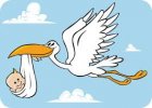 stork-baby.jpg