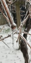 59C89242-9CF6-4D86-9357-8F9034E69BF9.jpeg