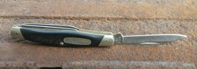 Buck Whittler .jpg