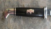 102Buffalo001_zpsf4aaa0ef.jpg
