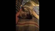 81C730F1-CFAC-4A6F-B6C6-1A138757BB17.png