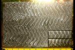 HerrinCone-Scales-within-panel.JPG
