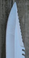 184pic2a.jpg