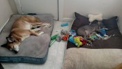 IMG_20171225_131915283.jpg