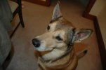 FB_IMG_1515755442328.jpg