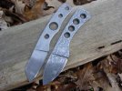 Feb%20blades%20001.JPG