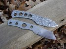 Feb%20blades%20003.JPG