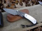 Feb blades 007.JPG