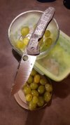 Resized_20180115_180750.jpeg