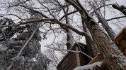 20180117_100316.jpg