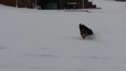 20180117_140155.jpg