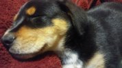 20180118_192610.jpg