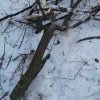 20180118_213408.jpg
