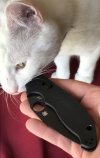 774E2400-E59A-4BD3-BF88-3D1E49D728AD.jpeg