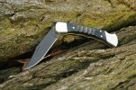Buck110Buffalolinks.jpg