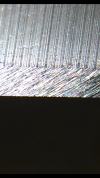 99A879CC-B255-45A4-BC1F-FFD8323AF3CE.png