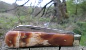 A.Wright SB Large Lambsfoot 4-4.JPG