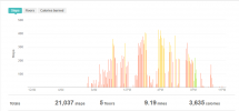 fitbit.PNG
