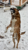 IMG_3264.PNG
