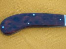 Large Saddlehorn pictures in desert ironwood 010.jpg