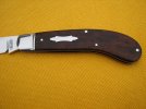 Large Saddlehorn pictures in desert ironwood 051.jpg