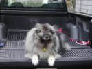 jag 3-15-09.jpg