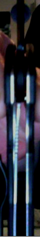 Picture 1.png