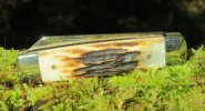 AW Stag Lambsfoot 'Senator' 5-8.JPG