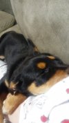 20180202_201002.jpg