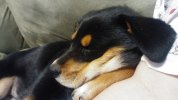 20180202_202955.jpg