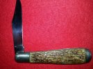 Pressed stag Clauberg Brothers Germany  a   .jpg