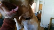 IMG_20180204_133536941.jpg