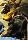 20180205_202131.jpg