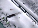 MC_Neige_2.jpg