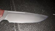 IMG_20180207_081438.jpg