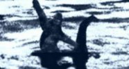 D4928B84-C2CA-4CA3-983A-26DD12C47E74.jpeg