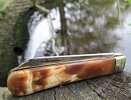 A.Wright SB Large Lambsfoot 4-8.JPG