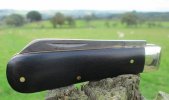 AW Ebony Lambsfoot 12-1.JPG