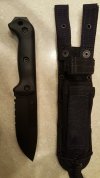 BK2 serrated with sheath.jpg