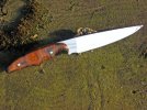 ironwood-5160018_edited.jpg
