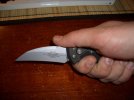 CIMG8948.jpg