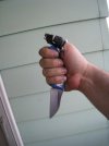 KNeedsWork - pkal.jpg