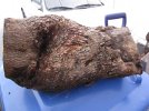 cherry_burl2.jpg