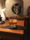 D360AAA2-9094-4268-B740-BD0A8A167482.jpeg