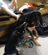 20180216_075445.jpg