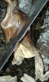 20180217_152350.jpg 20180217_152350.jpg