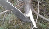20180217_153540.jpg 20180217_153540.jpg