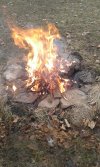 20180217_153654.jpg 20180217_153654.jpg